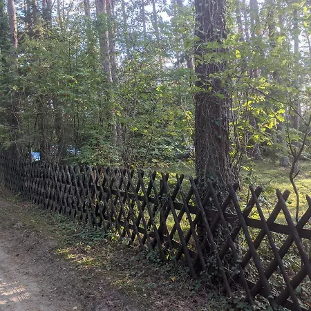 Waldhauschen An Der Ostsee Camping Lubmin