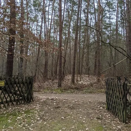 Waldhauschen An Der Ostsee *