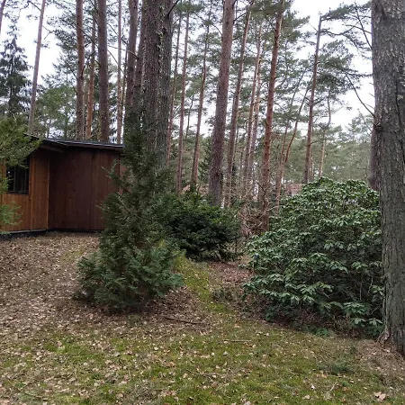 Camping Waldhauschen An Der Ostsee