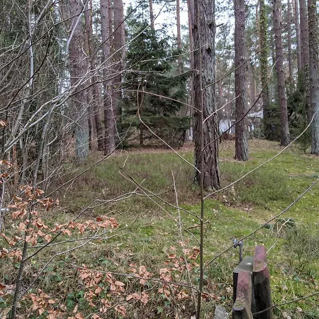 Camping Waldhauschen An Der Ostsee Lubmin