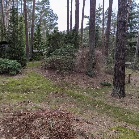 Waldhauschen An Der Ostsee