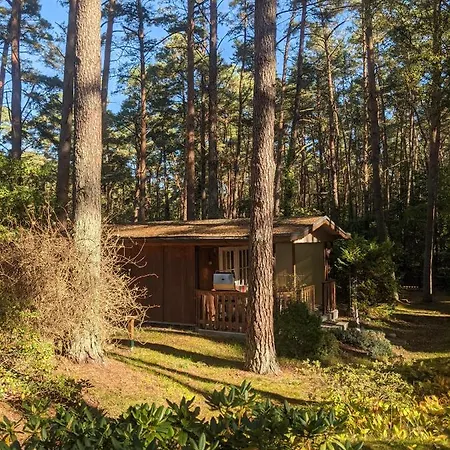 キャンプ場 Waldhauschen An Der Ostsee *