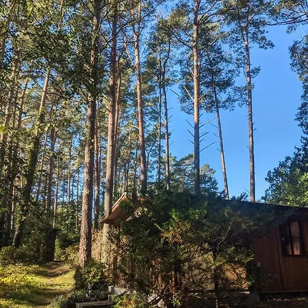 Waldhauschen An Der Ostsee * Lubmin